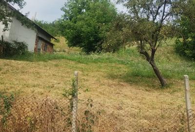 Terenuri in ora?ul ?tefane?ti, jude? Arge?, 3113mp - 2