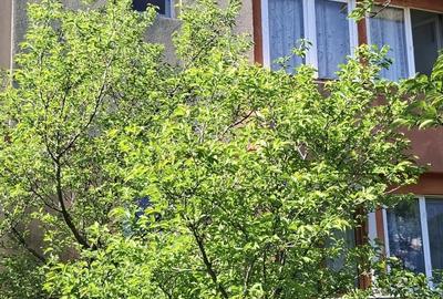Apartament cu 2 camere decomandat în Central - 6