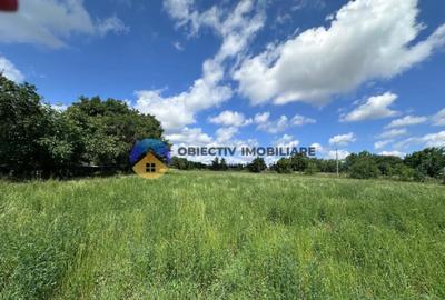 Teren intravilan de vanzare Unghi- jud. Neamt - 4