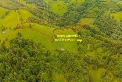 Teren extravilan, 25066 mp, Moieciu - 3
