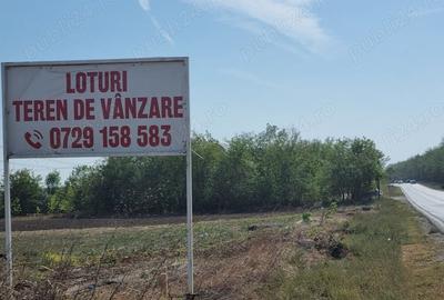 Teren de 5000 mp, în Pantelimon - 2