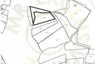 Teren de 12225 mp, în Aranghel - 3