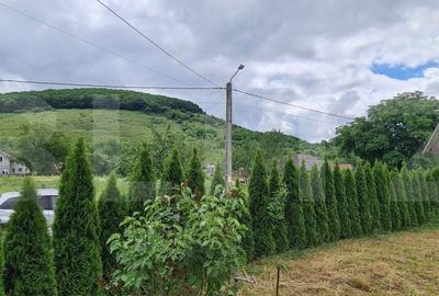 Casă cu 3 camere în Jichișu de Jos - 16