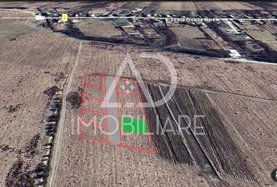 Teren de vanzare Preajba Teren de vanzare Preajba - 3