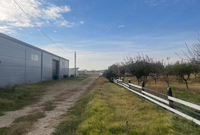 Teren de 370000 mp, în Pietroasele - 9
