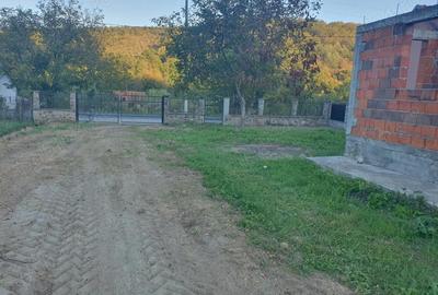 Casă cu 2 camere cu Teren 1142 Mp în Milova - 9