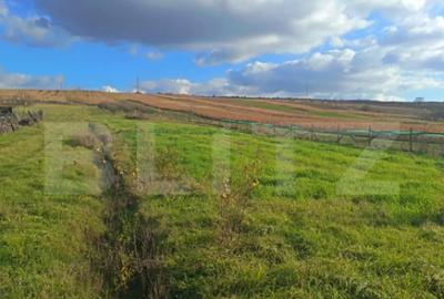 Teren de 7800 mp, în Central - 2