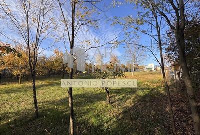 Teren intravilan, in Paulesti, Prahova - 5