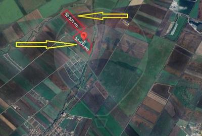 Teren de vanzare  Halchiu 80.000 MP