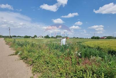 Teren intravilan - 17.500 mp - Gostilele Fundulea - 1