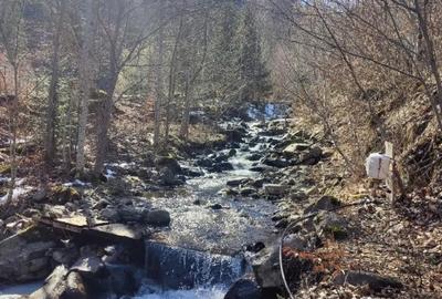 Teren de 6915 mp, în Malaia - 2