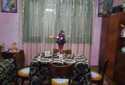 Casa de vanzare in Lapu?nicu Mare - 6