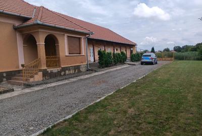 Casă individuală cu 5 camere cu Teren 3600 Mp în Petrești - 4