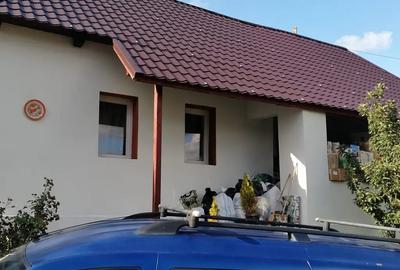 Casă cu 3 camere în Sânmihaiu Almașului - 9