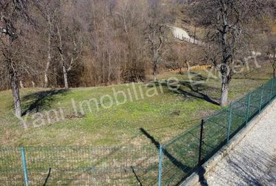 Teren de 1576 mp, în Borovinești - 7