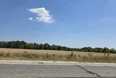 Teren intravilan de vanzare 2.500 mp Mo?oaia