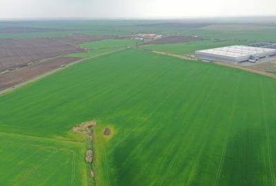 Teren industrial Dudestii Noi - 4