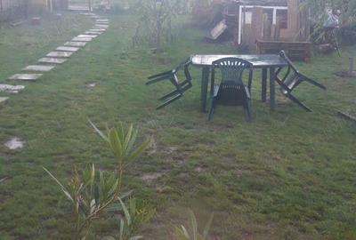 Vand teren cu anexa in Cartierul Pomilor If. Magurele aprox 500 mp, Vand teren cu anexa in Cartierul Pomilor If. Magurele aprox 500 mp, - 2