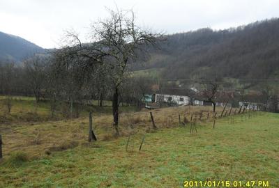 Teren de 1924 mp, în Moneasa