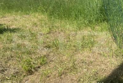 Teren de 1000 mp, în Central