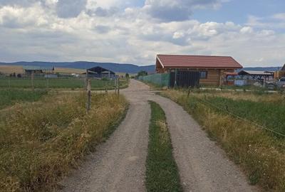De vanzare terenuri extravilane in Sfantu Gheorghe - 4