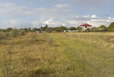 Teren de 3500 mp, în Slobozia Conachi - 7