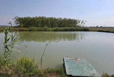 Casă în Acâș - 7