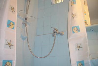 Apartament cu 4 camere decomandat, mobilat în Tineretului - 15