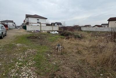 Teren Construcții intravilan de 550 mp, în Cornetu - 3