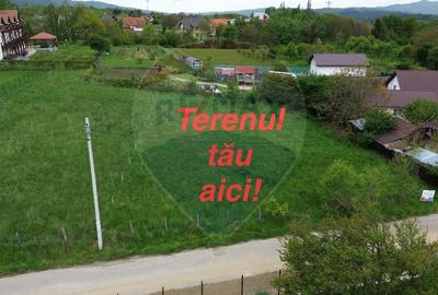 Teren de vanzare Campulung-Muscel - zona cu potential turistic - 5