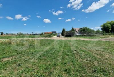 Teren de 6300 mp, în Hălchiu