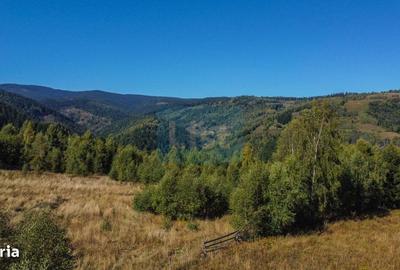 Spațiu comercial, în Muntele Băișorii - 9