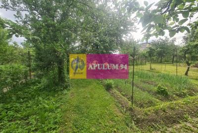 Casă de vânzare în Bănești - 22