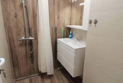 Apartament cu 2 camere decomandat în Baba Novac - 4
