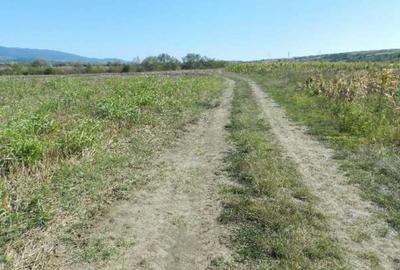 Teren extravilan arabil, situat in Oravita, Jud Caras-Sev... - 6