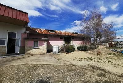 Spațiu comercial, de 10,000 mp, în Beciu - 6