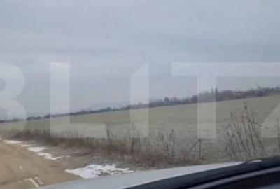 Teren de 141356 mp, în Lipănești - 3