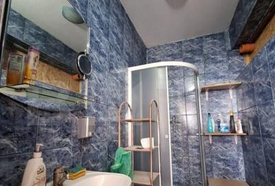 Individuala, cu spatii comerciale, gradina, vad excelent, Sa - 5