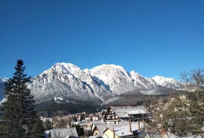 Apartament cu vedere la mun?i! - 2