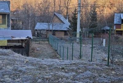 Teren de 800 mp, în Beba Veche