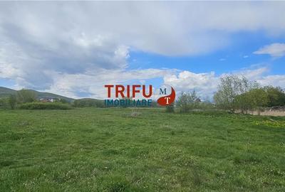 Teren de 594 mp, în Tolstoi