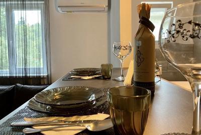Apartament cu 2 camere, mobilat în Praid - 7