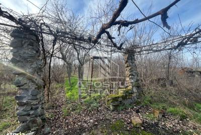 Casă cu 4 camere în Remetea Mică - 5