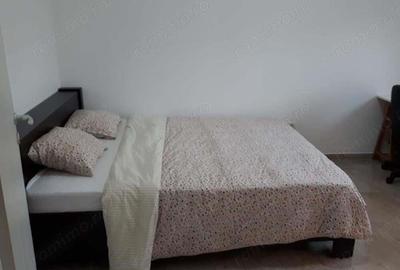 2 camere parter dumbravita investitie - 8