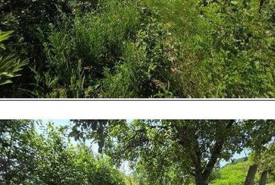 Teren Duda Epureni, ID: R2609594 - 1