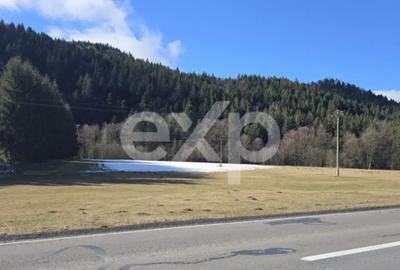 Teren de 19200 mp, în Brădet - 7