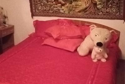 Casă cu 4 camere în Schela Cladovei - 3