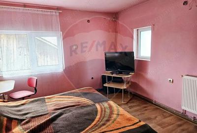 Casă cu 5 camere cu Teren 3072 Mp în Cicârlău - 3