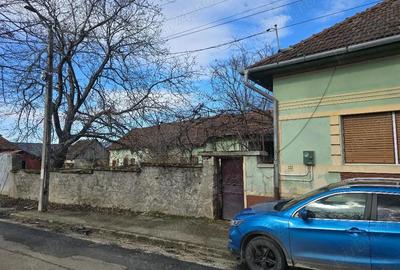 Casă cu 3 camere cu Teren 2500 Mp în Pietroasa - 15