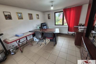 Teren Construcții intravilan de 4439 mp, în Bistra - 5